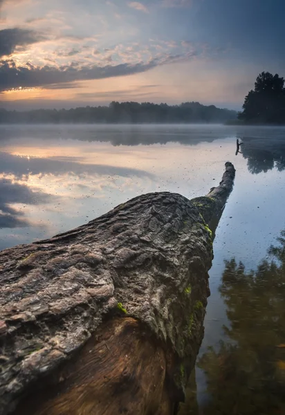 Beautiful sunrise over misty lake. — Stock Photo, Image