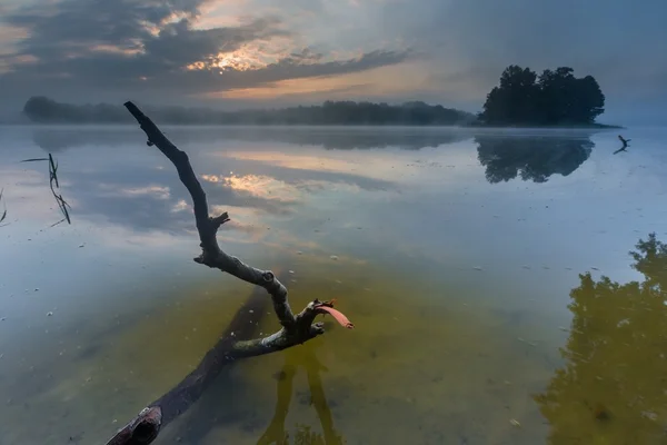 Krásný východ slunce nad zamlžené jezero. — Stock fotografie