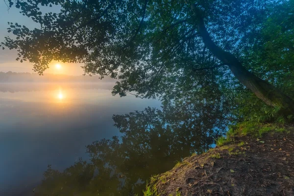 Mooie zonsopgang boven mistige lake. — Stockfoto