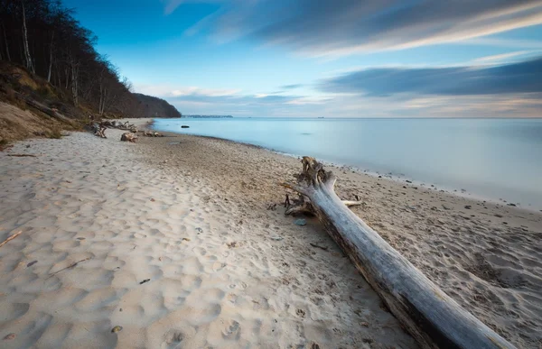 Польська берега Балтійського моря — стокове фото
