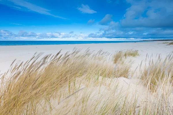 Beautiful sea shore — Stock Photo, Image