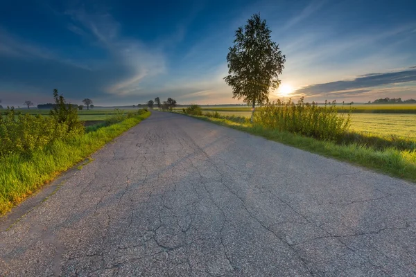 Rural asfaltweg — Stockfoto