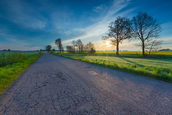 Verwoeste asfaltweg — Stockfoto