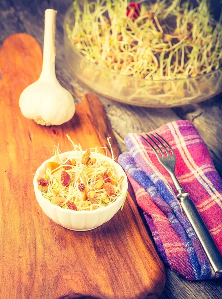 Fresh lentil and wheat sprouts — Stock Photo, Image