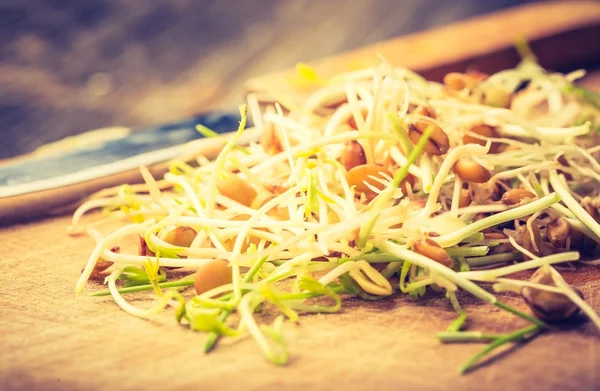 Lentil and wheat sprouts — Stock Photo, Image