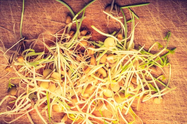 Linzen en tarwe spruiten — Stockfoto