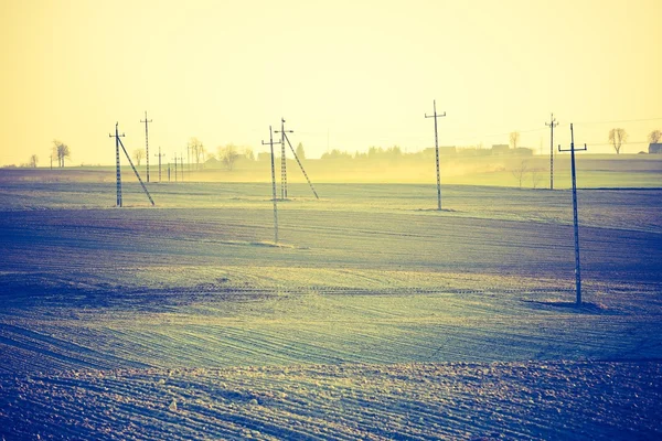 静かな田舎の畑 — ストック写真
