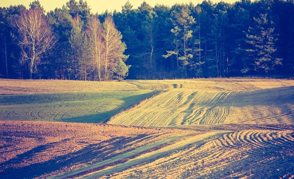 Plöjde fältet på den lugna landsbygden — Stockfoto