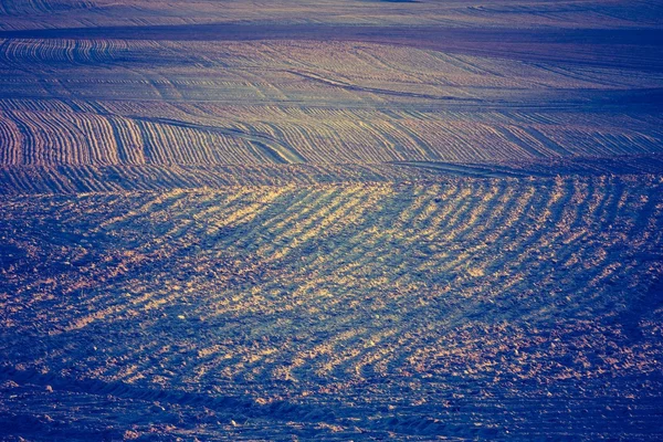 Plowed field in calm countryside — Stock Photo, Image