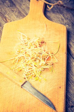 Taze mercimek ve buğday filizi