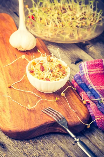 Fresh lentil and wheat sprouts — Stock Photo, Image