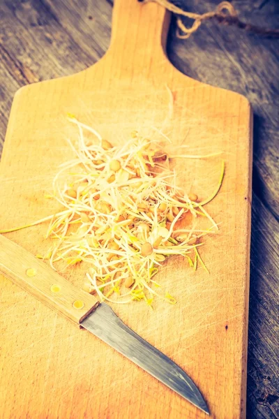 Fresh lentil and wheat sprouts — Stock Photo, Image