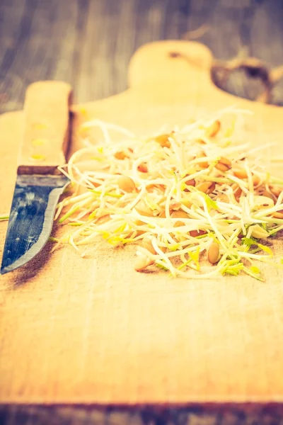 Fresh lentil and wheat sprouts — Stock Photo, Image