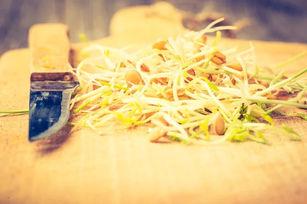Fresh lentil and wheat sprouts — Stock Photo, Image