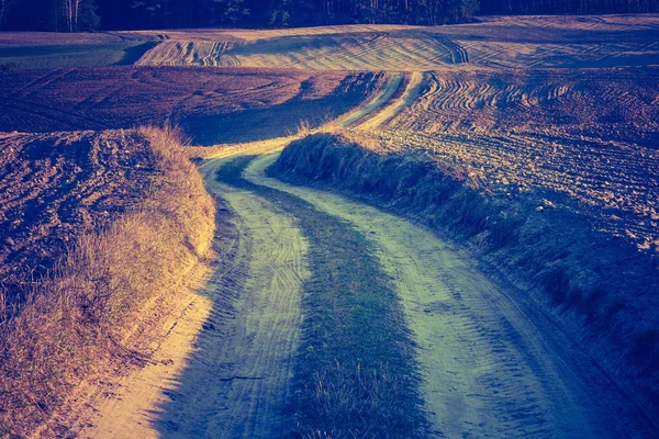 Campo arborizado em campo calmo — Fotografia de Stock