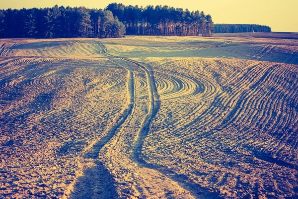 Plowed field in calm countryside — Stock Photo, Image