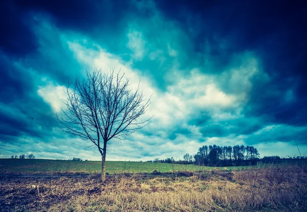 Drammatico paesaggio nuvoloso sulla terra — Foto Stock