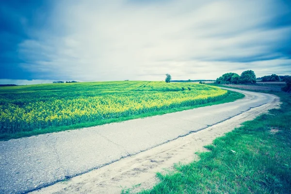 Asfaltweg in de buurt van velden — Stockfoto