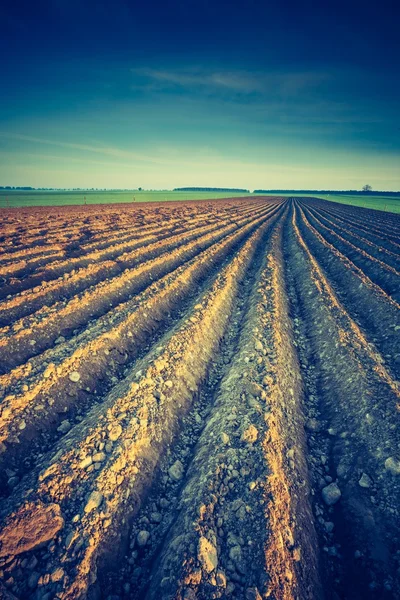 Plowed field in calm countryside — Stock Photo, Image