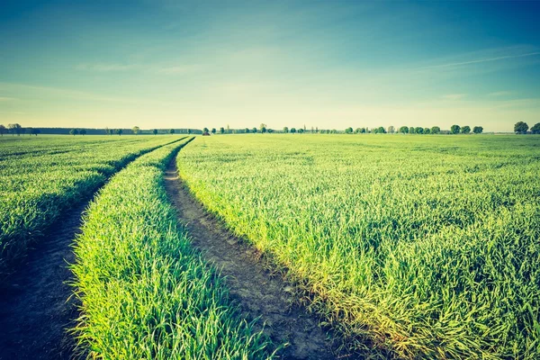 Idílico amanecer sobre el campo . —  Fotos de Stock