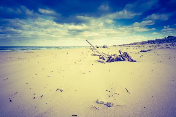 Vacker strand med mulen himmel — Stockfoto