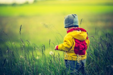 çayır üzerinde oynayan küçük çocuk