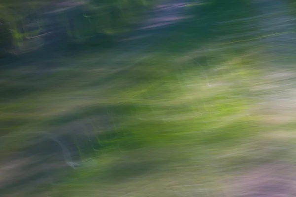 Wazig abstracte achtergrond van zomer bos — Stockfoto