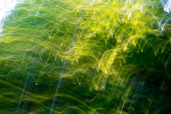 Blurry abstract background of summer forest — Stock Photo, Image