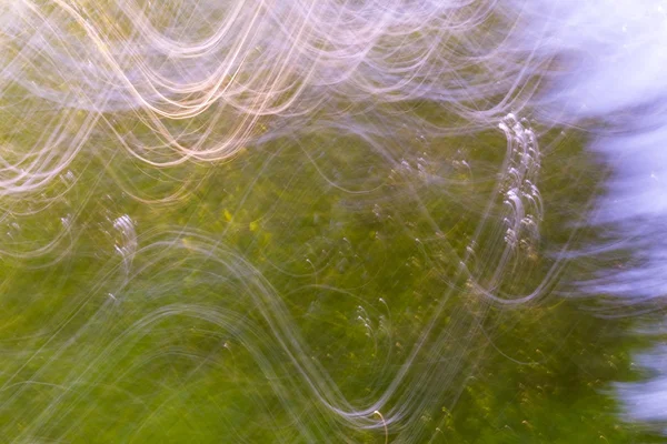 Fond abstrait flou de la forêt d'été — Photo