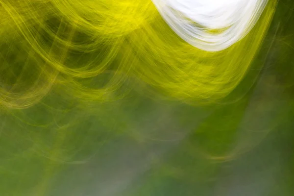 Sfondo sfocato astratto di verde foresta estiva — Foto Stock