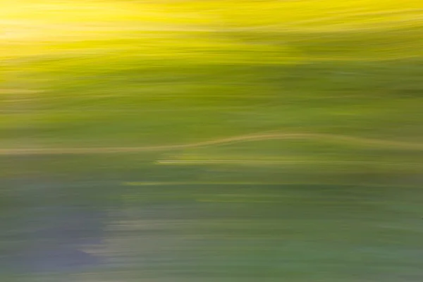 Yeşil Yaz orman bulanık arka plan — Stok fotoğraf