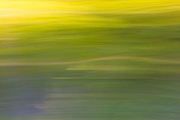 Fundo abstrato desfocado da floresta verde de verão — Fotografia de Stock