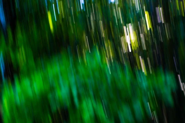 模糊的抽象背景的绿色夏季森林 — 图库照片