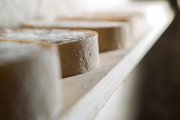 French goat cheese maturing