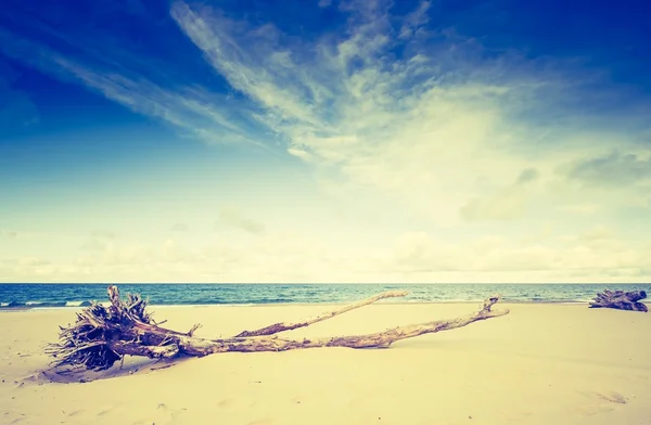 Costa del mar Báltico — Foto de Stock