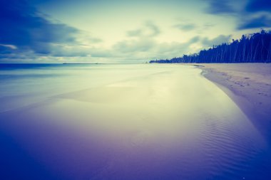 Baltık Denizi kıyısında