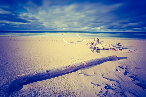 Costa del mar Báltico — Foto de Stock