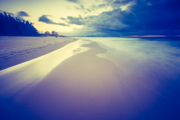 バルト海の海岸 — ストック写真