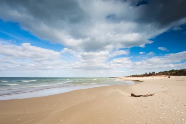 Baltic shore with dramatic sky — ストック写真