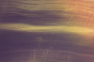 Yeşil Yaz orman arka plan