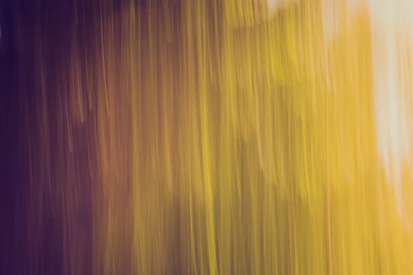 Kolorowy las abstrakcja — Zdjęcie stockowe