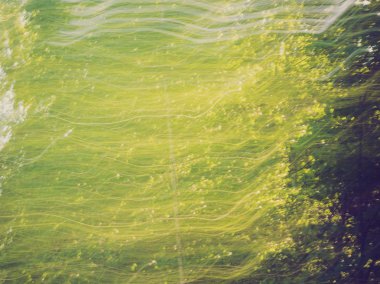 Renkli orman soyutlama