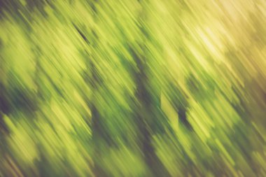 Vintage fotoğraf bulanık arka plan 