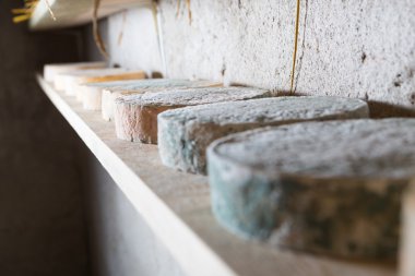 Fransız Keçi peynir olgunlaşma