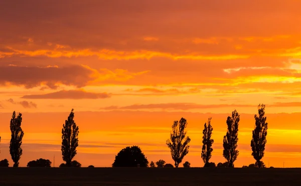 Prachtige levendige zonsondergang over veld — Stockfoto
