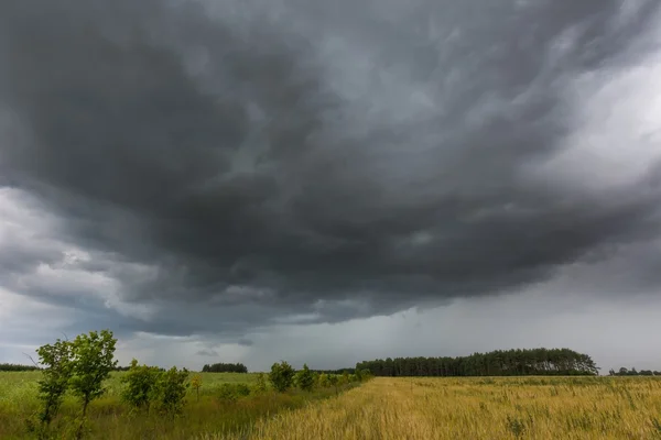 Dunkle Gewitterwolken über Maisfeld im Sommer — Stockfoto