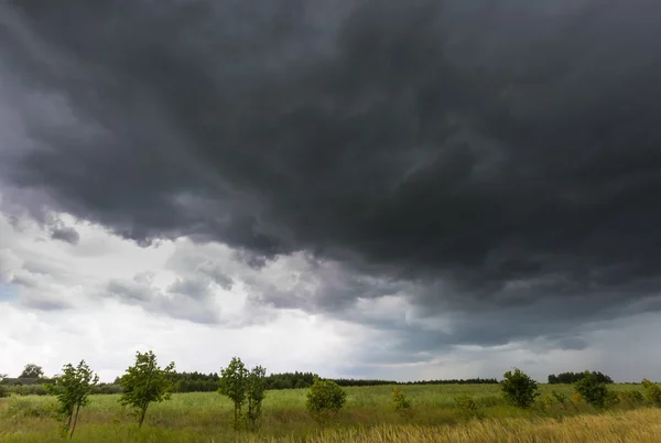 Nuages orageux foncés au-dessus du champ de maïs en été — Photo
