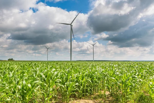 Moinhos de vento em pé no campo de milho — Fotografia de Stock