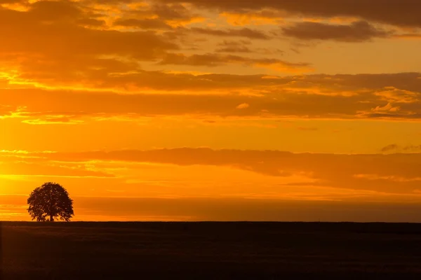 Puesta de sol sobre el mar Báltico — Foto de Stock