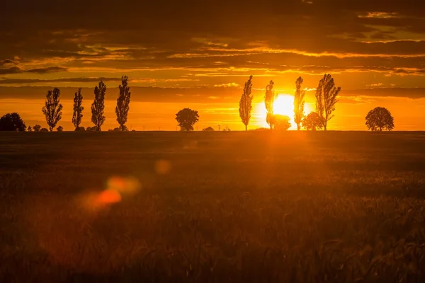 Letní slunce nad krajinou. — Stock fotografie